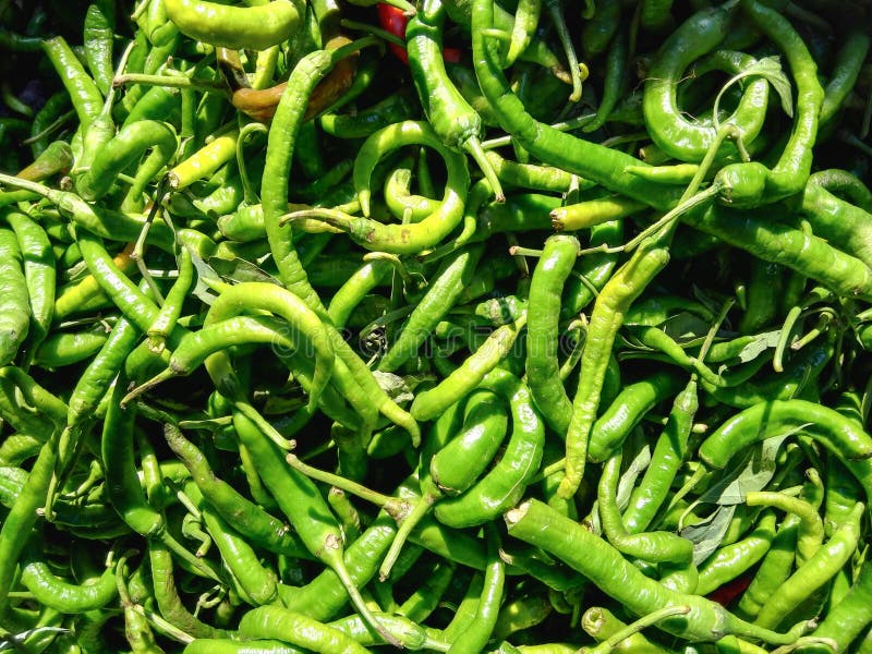 Grüner Pfeffer. Grüner Paprika verkauft im Gemüsemarkt!
