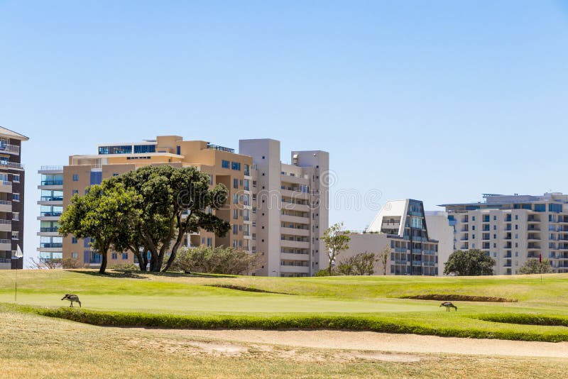Hotel Facilities Panorama behind golf course in Green Point Park in Cape Town, South Africa, in Africa. Hotel Facilities Panorama behind golf course in Green Point Park in Cape Town, South Africa, in Africa