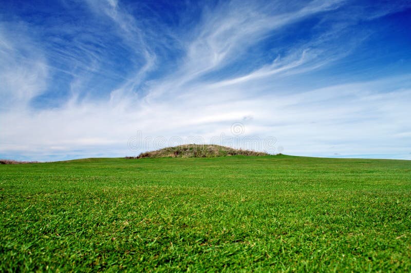 Grüner Rasen und blauer Himmel lizenzfreie stockbilder