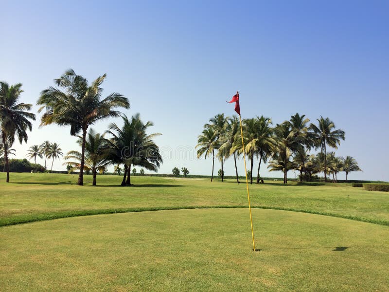 Grüner Rasen Unter Palmen, Meer Und Bergen Auf Einem Hintergrund