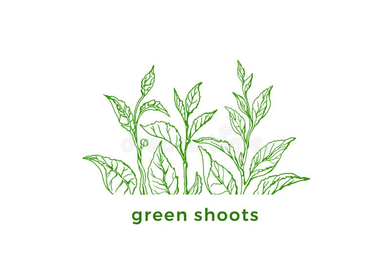 Grüner Tee des Vektors Neuer Entwurf des Frühlinges Ökologieaufkleber, Bioaufkleber stock abbildung Grüner Tee des Vektors Neuer Entwurf des Frühlinges Ökologieaufkleber, Bioaufkleber stock abbildung
