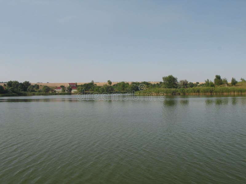 Grünes Ufer von einem großen Teich lizenzfreies stockfoto Grünes Ufer von einem großen Teich lizenzfreies stockfoto