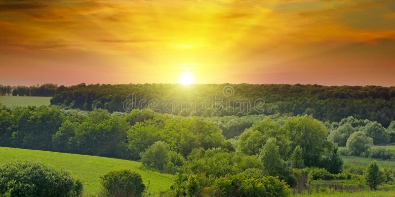 Grünfelder und heller Sonnenaufgang Breites Foto Landwirtschaftliches landsc stockbild Grünfelder und heller Sonnenaufgang Breites Foto Landwirtschaftliches landsc stockbild