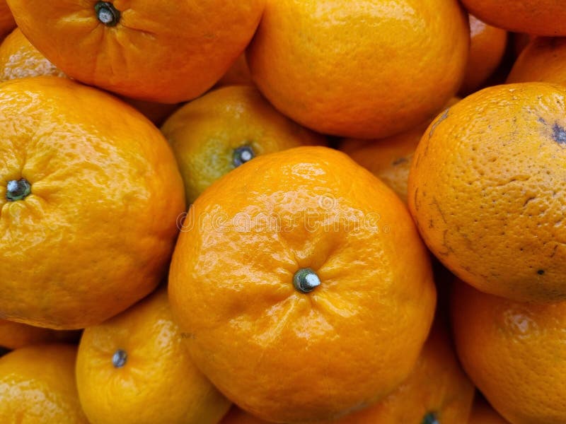 Gt L'immagine mostra una vista di chiusura di una pila di tangerine arancioni fresche luminose fotografia stock