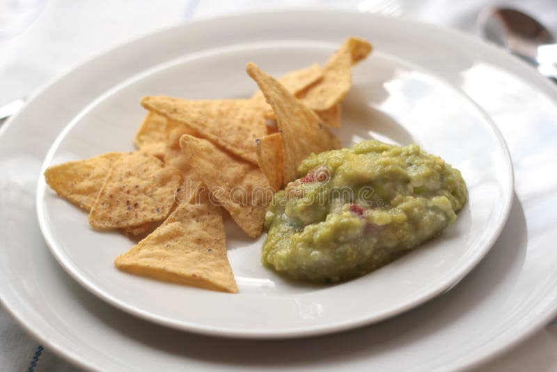Guacamole & nachos stock photo. Image of appetizer 10412334