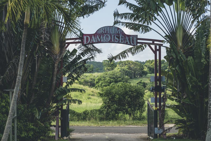 Rhum Damoiseau distillery in Guadeloupe as one of the most important exporters of rum from Caribbeans