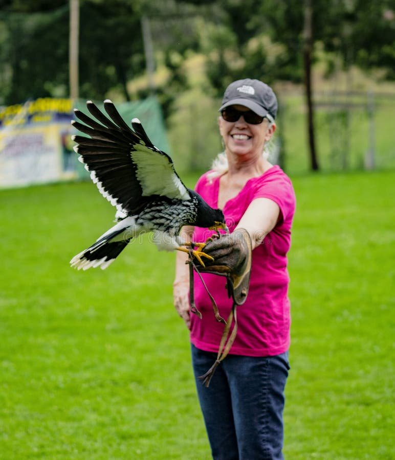 rescue birds of prey rescue birds of prey