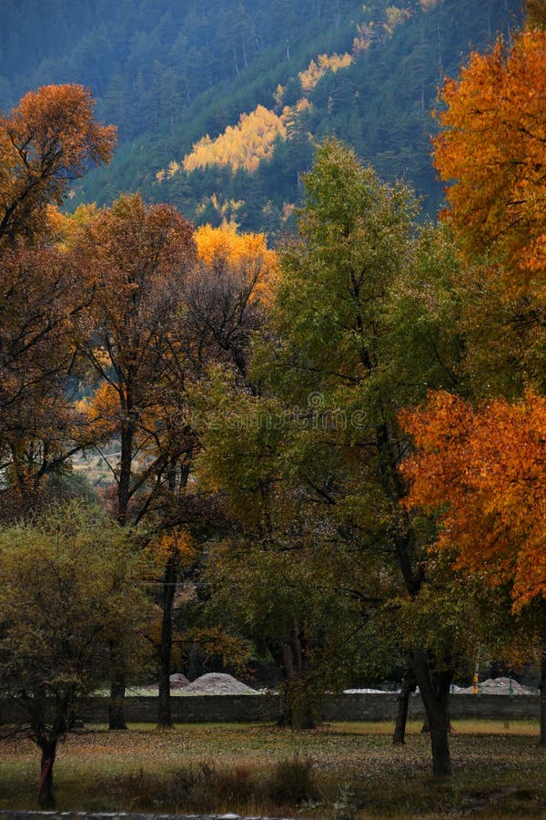 Scenery of Guanegou National Forest Park in China`s Gansu royalty free stock photography Scenery of Guanegou National Forest Park in China`s Gansu royalty free stock photography