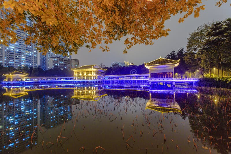 Guangzhou Liwan Lake Park at Night Stock Photo Image of tour, lake