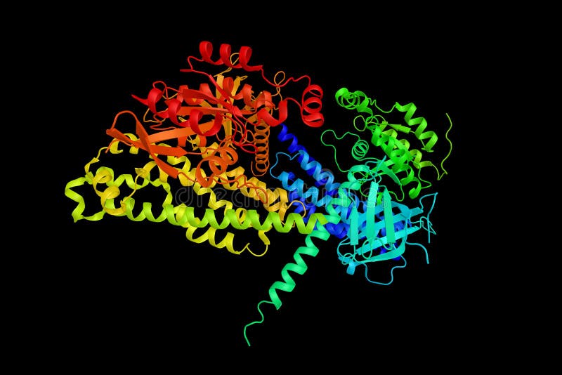 Guanine nucleotide exchange factor DBS is a protein that in humans is encoded by the MCF2L gene. Still being researched. 3d rend