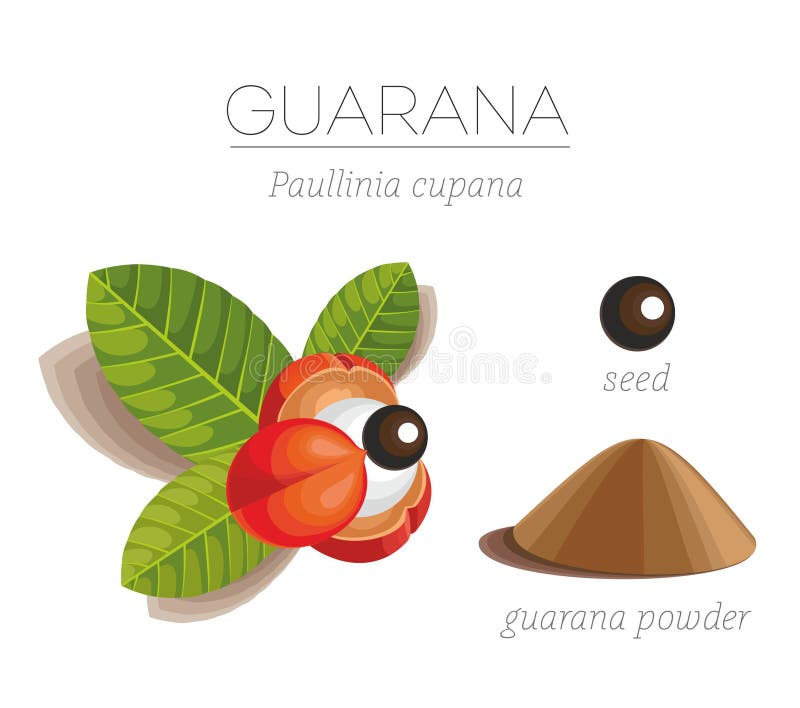 Guarana