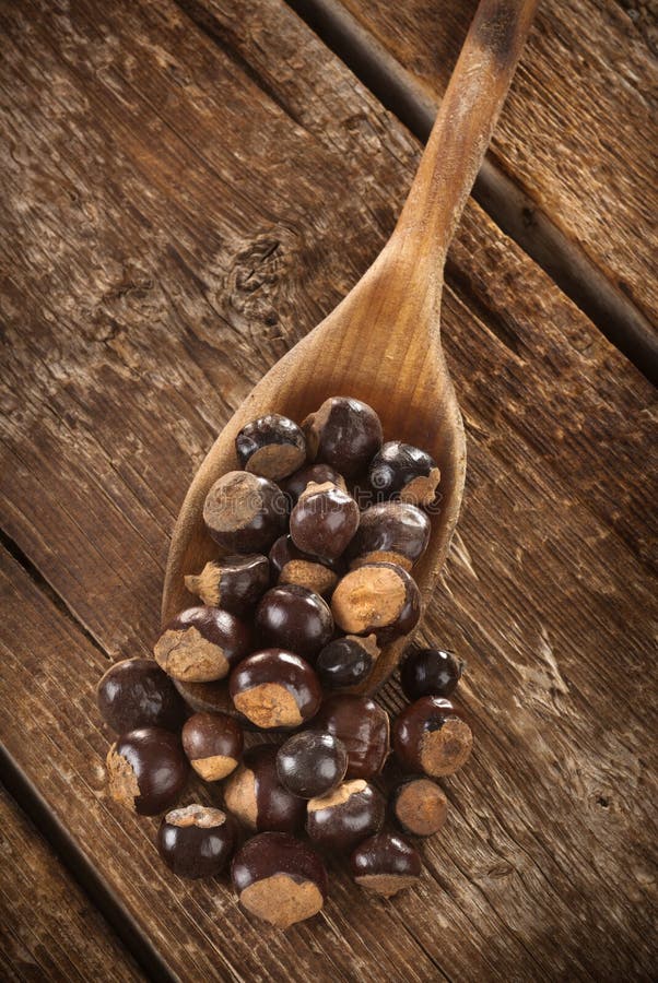 Guarana seeds stock photo