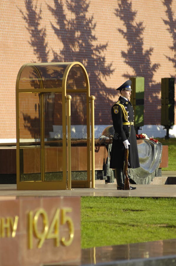 Guard of Honour royalty free stock photos