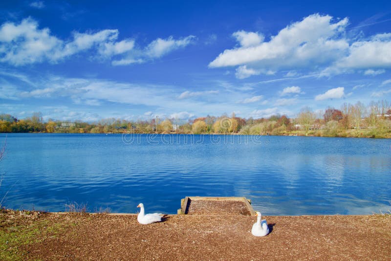 Guards of the lake