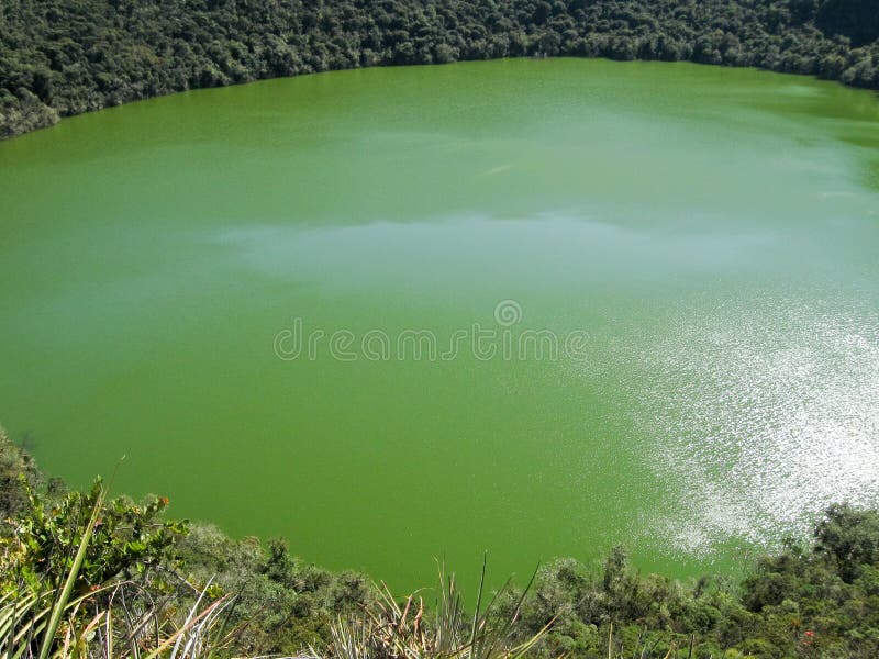 Guatavita lake, Colombia royalty free stock image