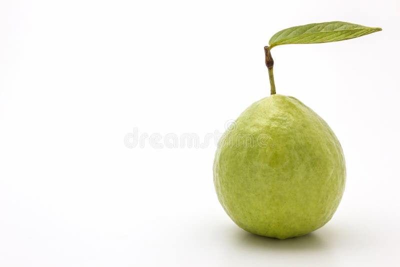 Guava на белой предпосылке стоковые изображения rf.