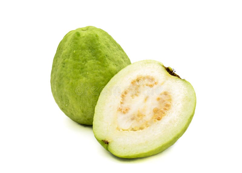 16 576 guava photos free royalty free stock photos from dreamstime 16 576 guava photos free royalty