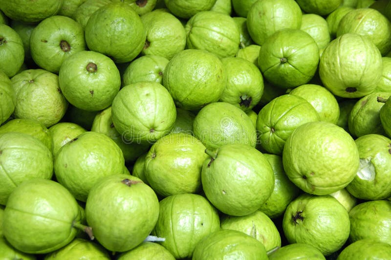 Guava