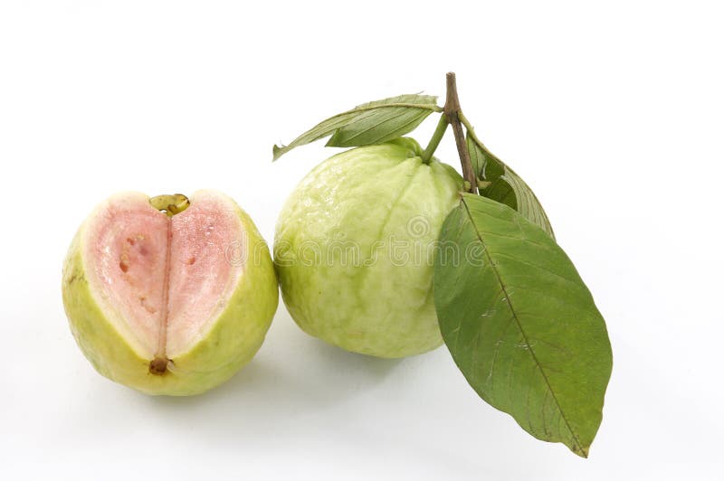 Guava