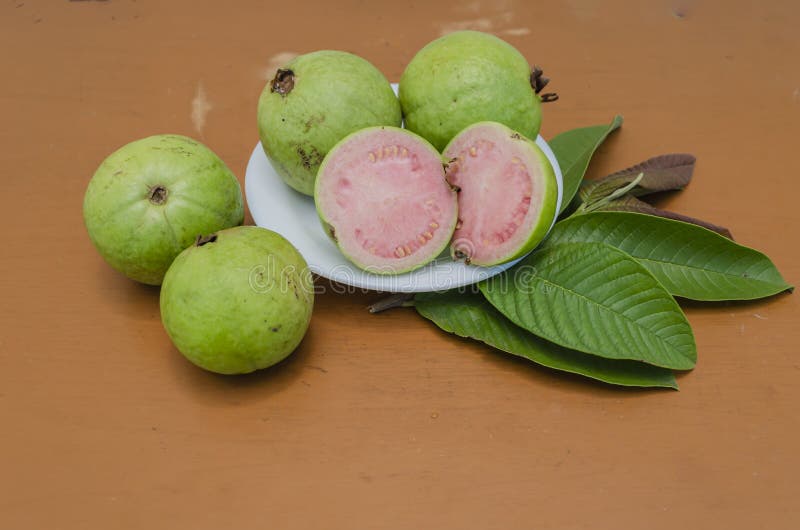 Guava Cross Sections, and Whole Fruits On Leaves stock illustration Guava Cross Sections, and Whole Fruits On Leaves stock illustration
