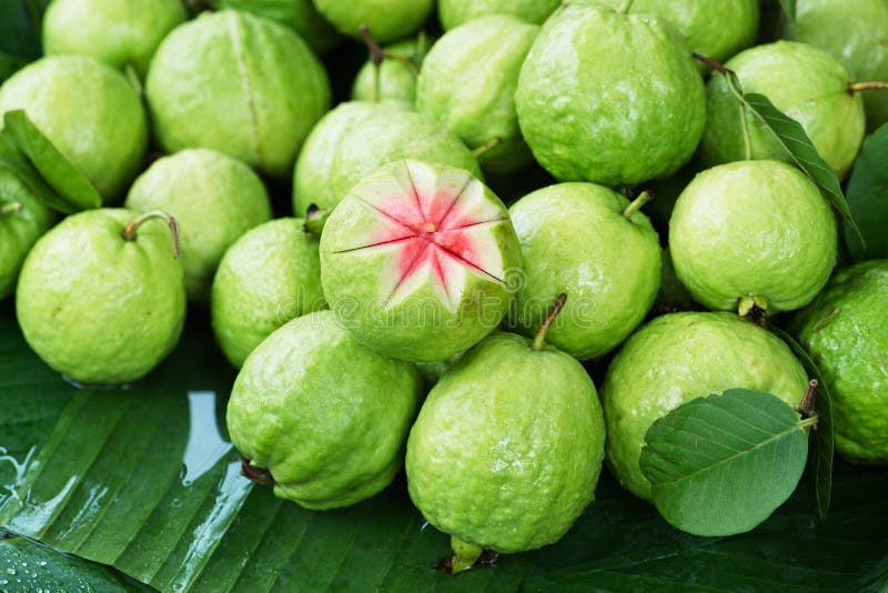 Guava. stock photography Guava. stock photography