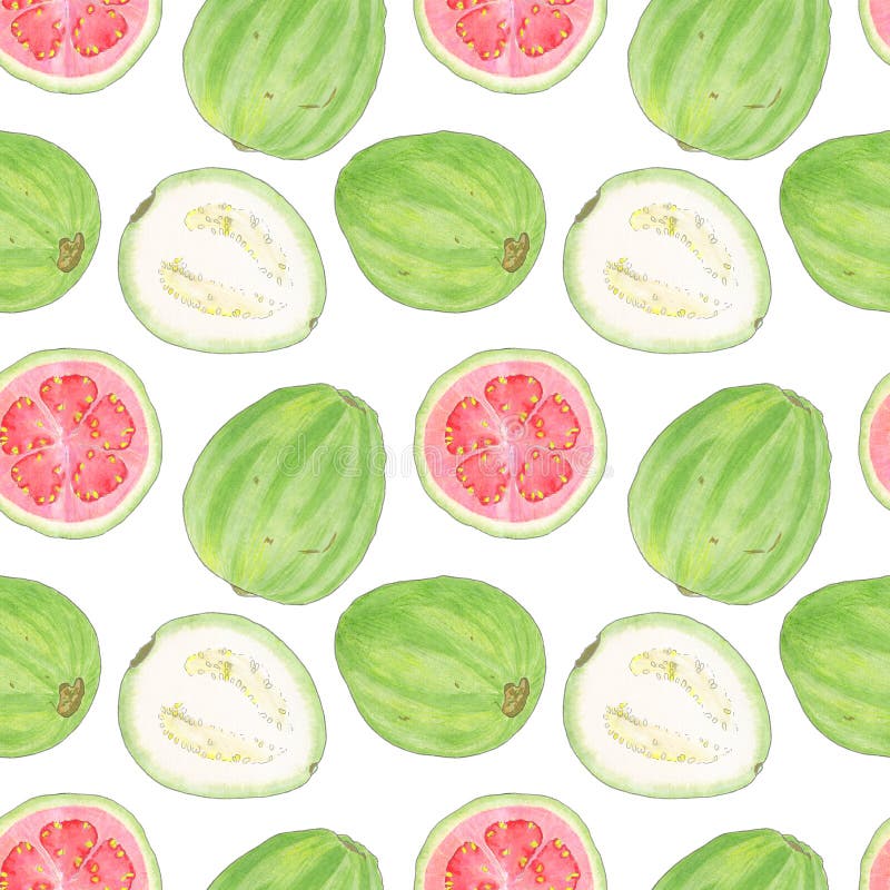 Guava or guayaba seamless watercolor pattern. 