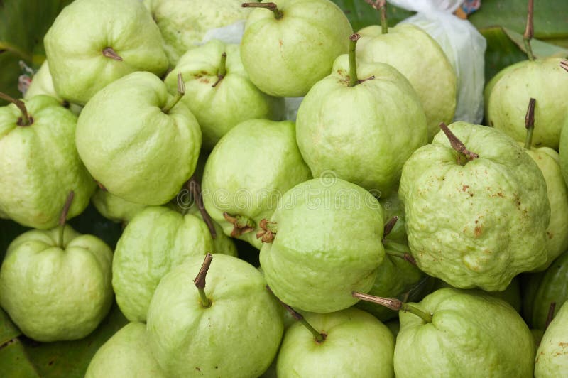 Guavas