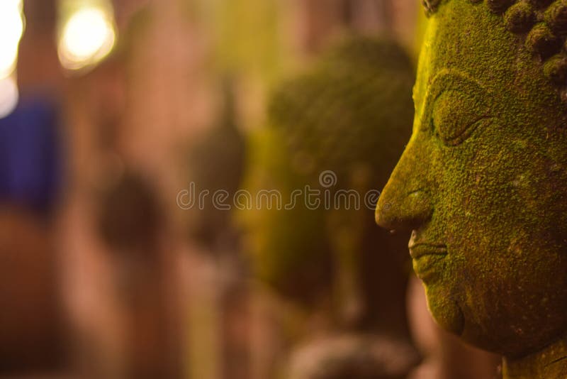 Stucco Face Buddha Goddess Sacred According to Buddhist beliefs. With green mossn. Stucco Face Buddha Goddess Sacred According to Buddhist beliefs. With green mossn