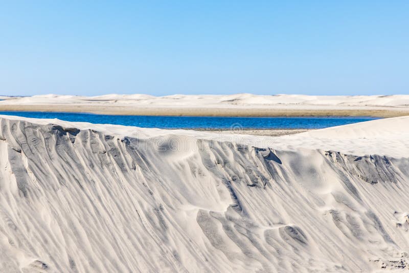 Sand dunes along the western coast of the Baja peninsula