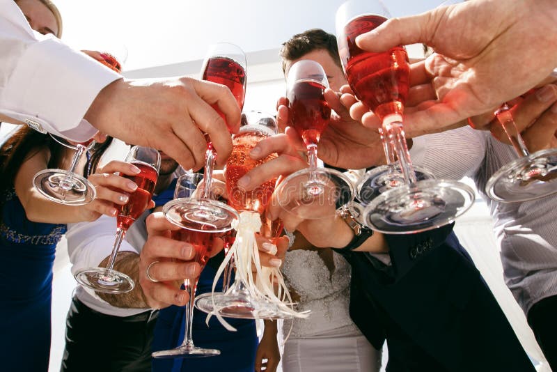 Guests Clink Glasses Celebration Stock Image Image of light, fashion
