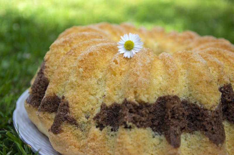 Gugelhupf w zielonej trawie, bardzo smakowity jadalny dwubarwny Czeski cukierki tort dzwonił babovka, gotowego jeść, stokrotka kw zdjęcia stock Gugelhupf w zielonej trawie, bardzo smakowity jadalny dwubarwny Czeski cukierki tort dzwonił babovka, gotowego jeść, stokrotka kw zdjęcia stock