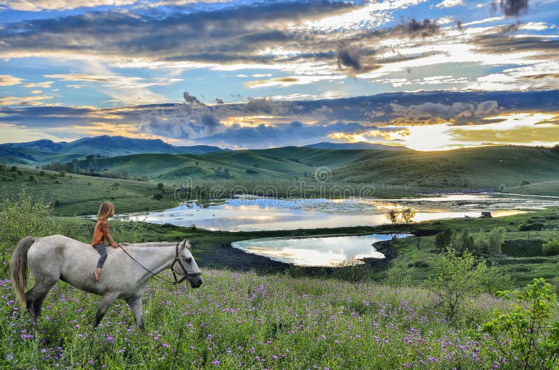 Guida della bambina sul cavallo bianco in montagna al tramonto immagine stock Guida della bambina sul cavallo bianco in montagna al tramonto immagine stock