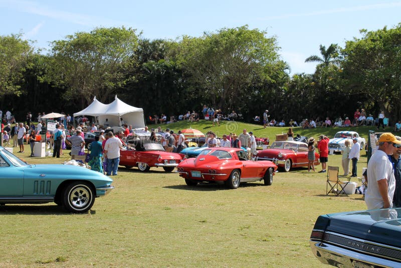 Classic car event in south Florida. classic cars such as Chevy Corvettes driven on lawn. Classic car event in south Florida. classic cars such as Chevy Corvettes driven on lawn.