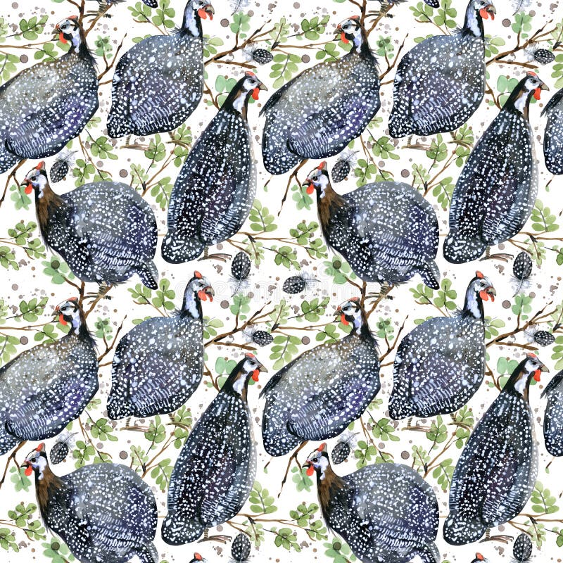 Guinae Fouwl nahtloses Muster des wilden Vogelaquarells vektor abbildung Guinae Fouwl nahtloses Muster des wilden Vogelaquarells vektor abbildung