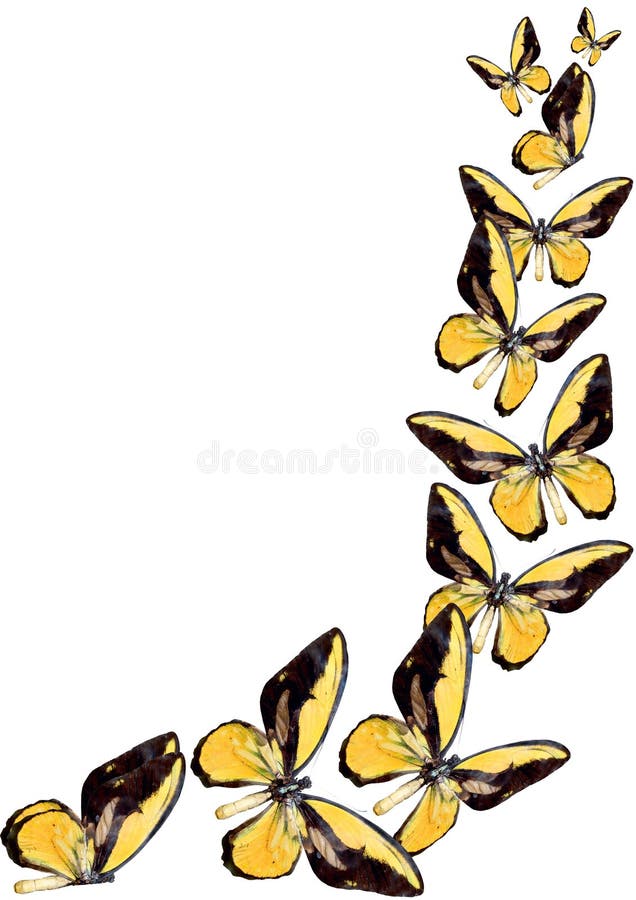 Guindineau jaune illustration de vecteur