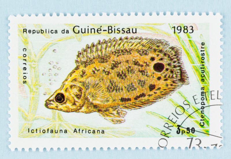 Guine Bissau Postage Stamp - Fish 1983 royalty free stock photo