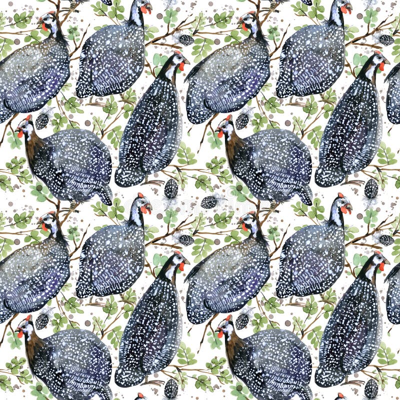 Guinea fowl. wild bird watercolor seamless pattern.