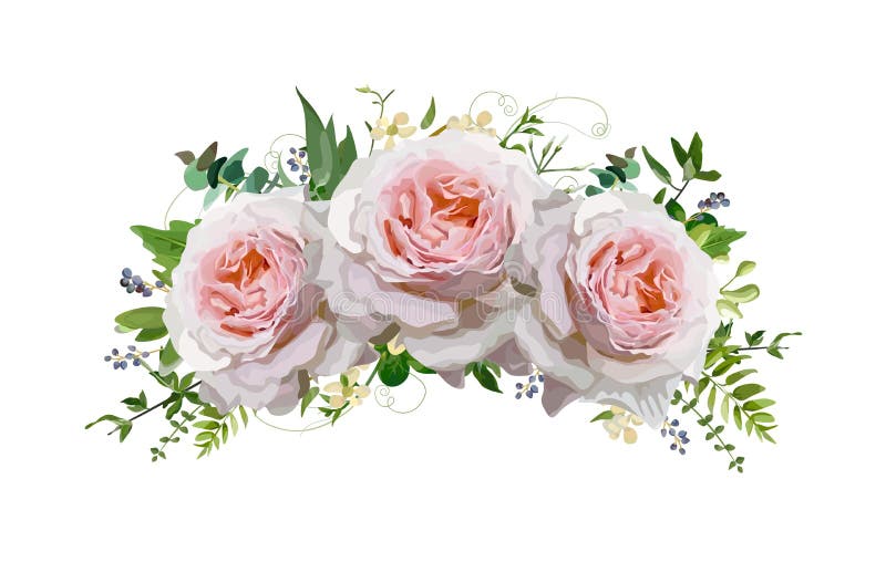 Guirlande rose de conception de vecteur de bouquet de fleur Pêche, roses roses, euc
