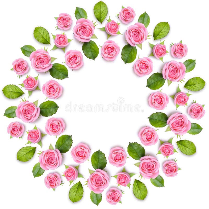 Rond frame wreath made of pink roses isolated on white background. Gentle circular floral ornament. Flower mandala. Rond frame wreath made of pink roses isolated on white background. Gentle circular floral ornament. Flower mandala