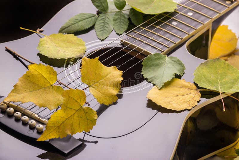Guitar Autumn Leaves Stock Photos Download 406 Royalty Free Photos