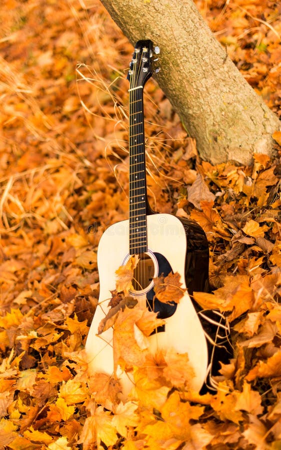 737 Guitar Autumn Leaves Stock Photos Free & RoyaltyFree Stock