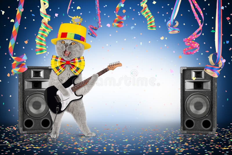 Birthday Party Cat and Dog Wearing Hats Stock Photo - Image of party