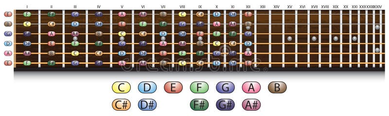 Guitar Fretboard Chart