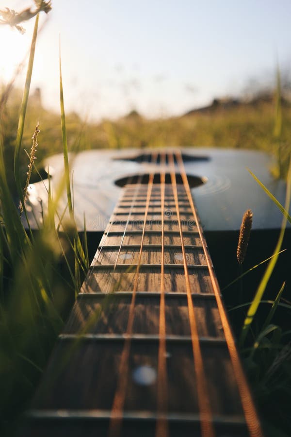 Guitar in the Middle of Wildflowers Stock Photo Image of nature