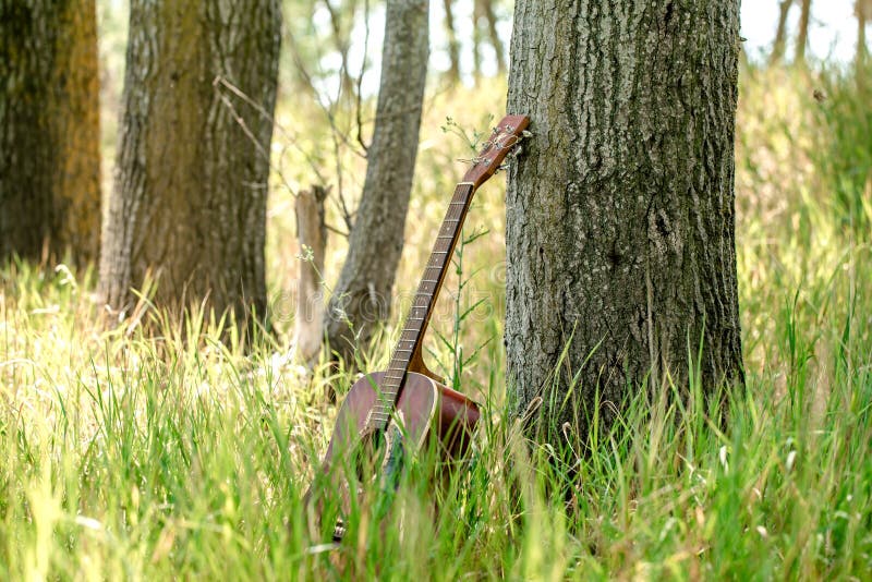 Guitar in nature stock photo. Image of guitar, countryside 96318560