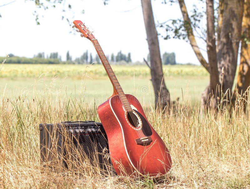 Guitar in nature stock photo. Image of autumn, environment 96578446