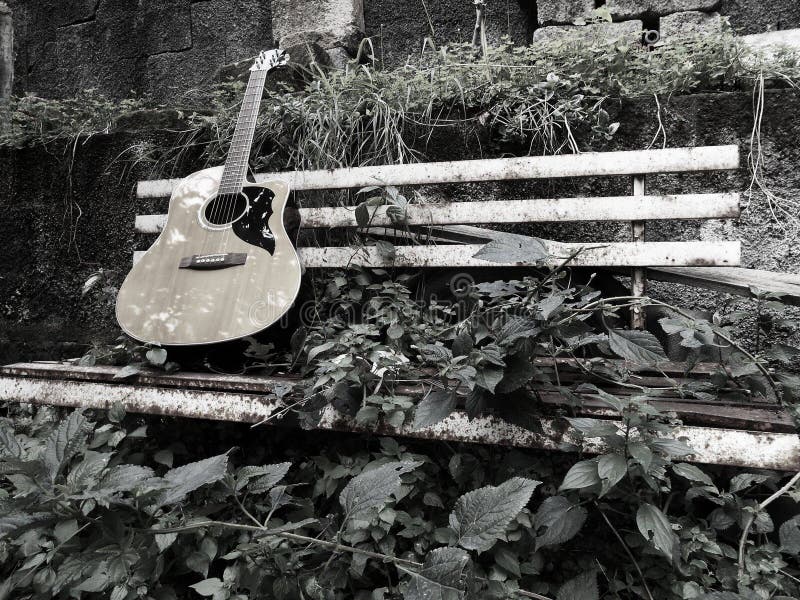 Guitar and Nature stock photo. Image of relax, friends 80536872