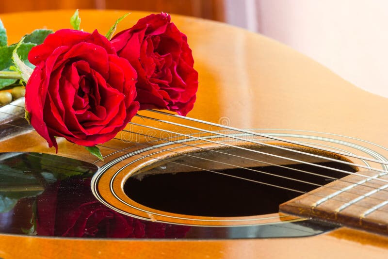 1,550 Guitar Rose Stock Photos Free & RoyaltyFree Stock Photos from
