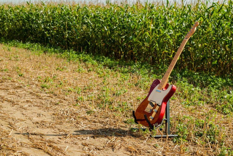 Guitar telecaster in red color against the background of a cornfield royalty free stock image Guitar telecaster in red color against the background of a cornfield royalty free stock image