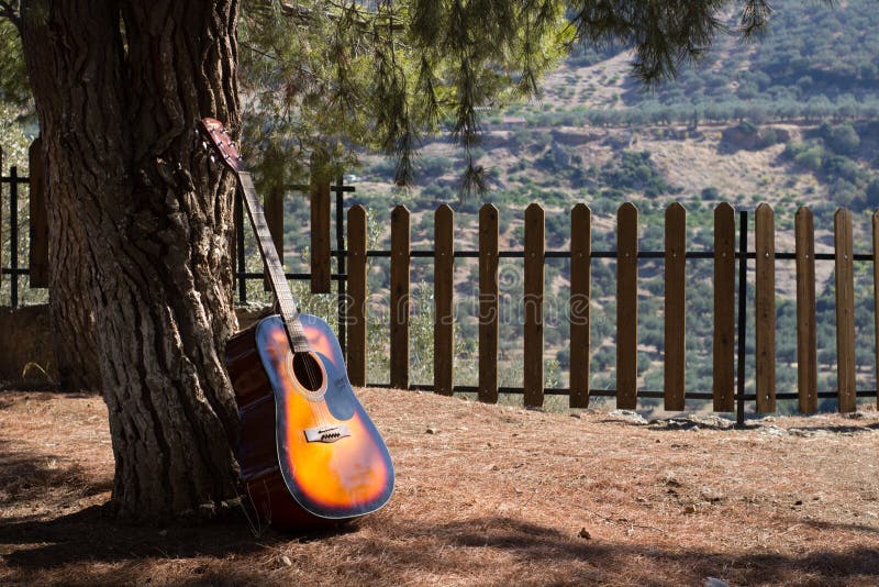 guitar on a tree shade at a forest autumn scenery